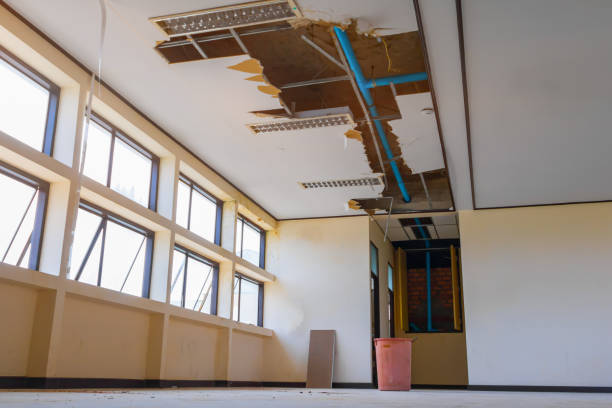 Best Water damage restoration near me  in Abbeville, LA