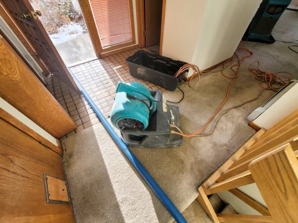 Best Water damage restoration services  in Abbeville, LA