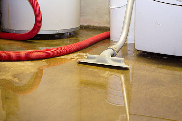 Best Local water damage restoration  in Abbeville, LA