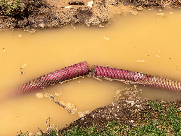 Best Carpet water damage restoration  in Abbeville, LA